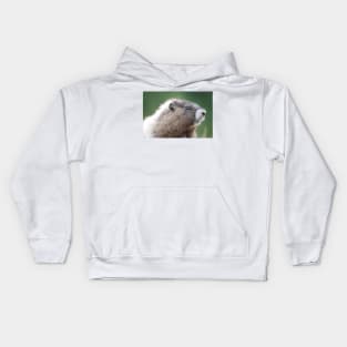 Young marmot in Mount Rainier National Park Kids Hoodie